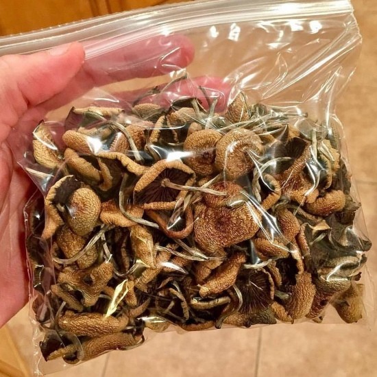 Shroom dispensaries near me