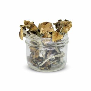 psilocybin for sale