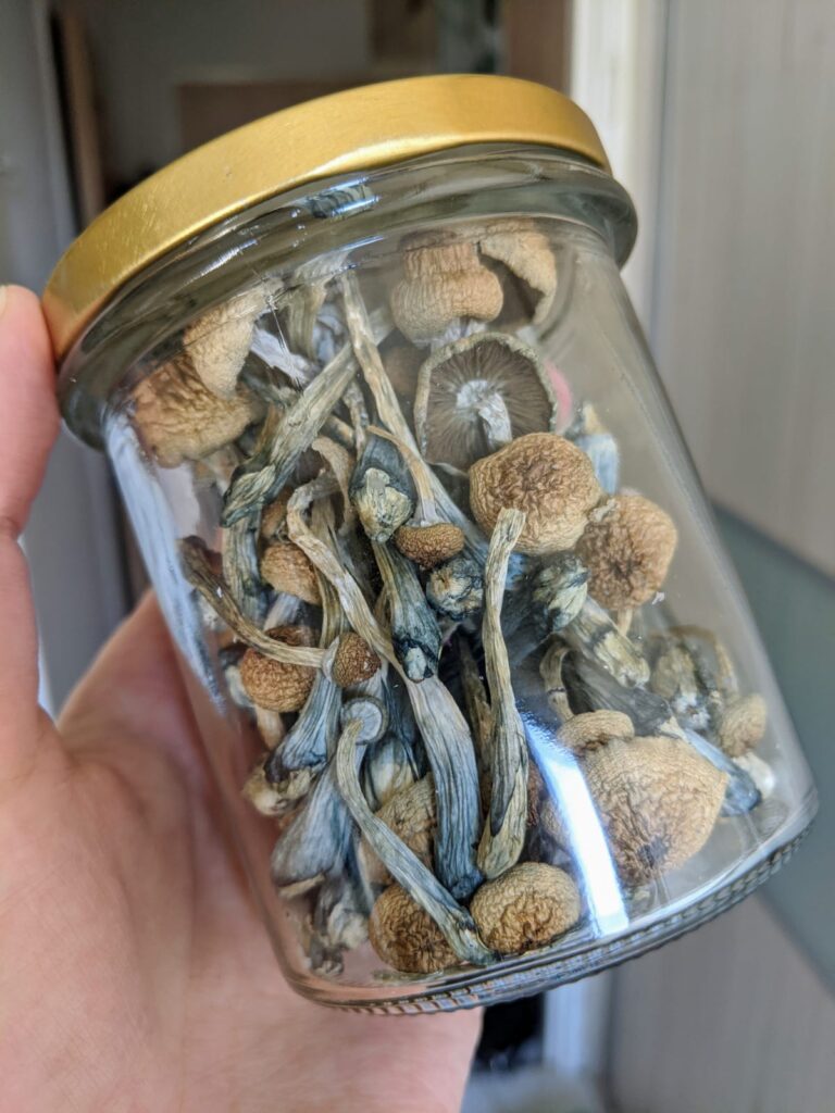 Psychedelic Mushrooms Online