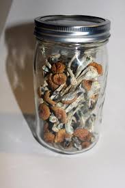 How much do magic mushrooms cost