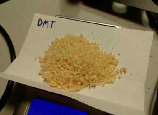 dmt where to buy